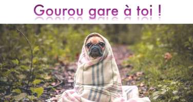 gourou gare &agrave; toi