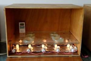 Etuve cristallisation sensible