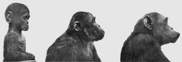 Livre Ere des poissons pt