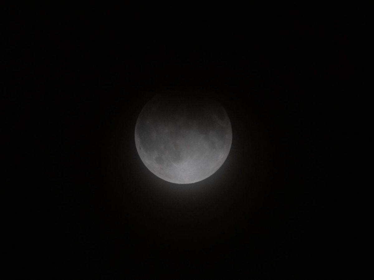 Éclipse de Lune partielle - New York 2024