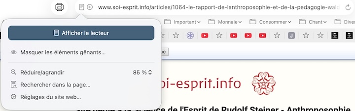 Mode lecteur sur safari