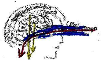 Illustration 2 - Conf&eacute;rence 6