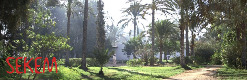 SEKEM